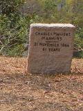 image of grave number 25061